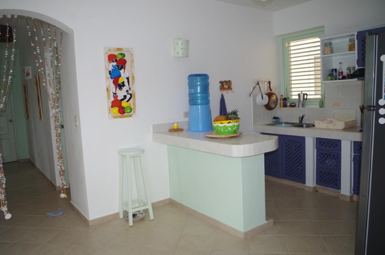 Little Paradise In Middle Of Beautiful Beaches! Las Terrenas Buitenkant foto